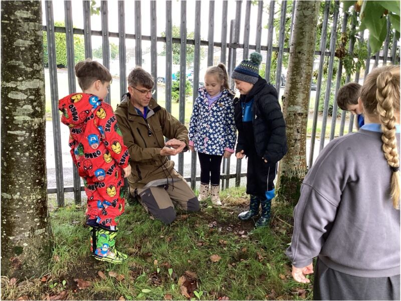 Image for the Tweet beginning: 🌳 Our brand-new Forest School
