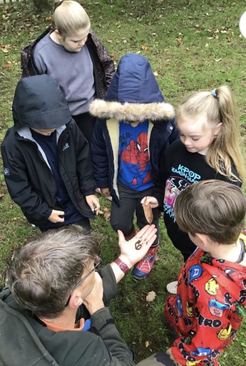 Image for the Tweet beginning: Baking, painting and forest school